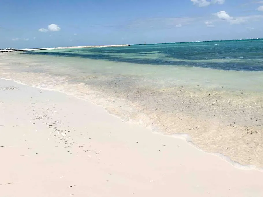 5Br Ocean Front Hotel Zone Luxury House By Solmar Rentals Cancun Holiday home